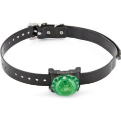 SportDOG Locator Beacon For Dog Collars -PetSafe Kong Shop 79975 PT2. AC SS1800 V1657661028