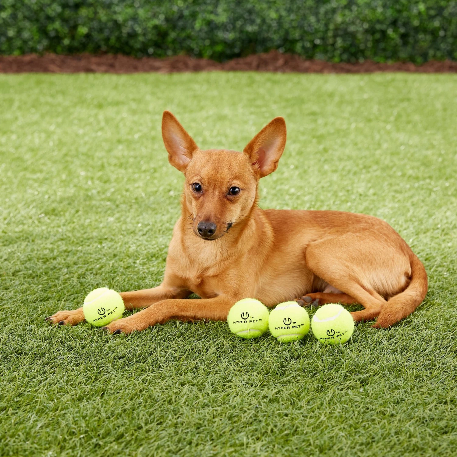 Hyper Pet K9 Kannon Mini K2 Dog Toy 6 Hyper Pet K9 Kannon Mini K2 Dog Toy - Image 6