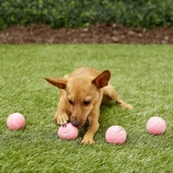 Hyper Pet 4 Pack Of Balls For Dogs, Pink -PetSafe Kong Shop 80082 PT1. AC SS1800 V1545174196