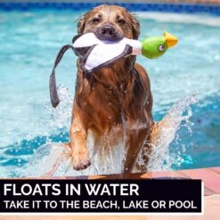 Hyper Pet Flying Series Dog Toy -PetSafe Kong Shop 80093 PT3. AC SS1800 V1605657406