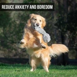 Hyper Pet Doggie Tail Interactive Dog Toy 11 Hyper Pet Doggie Tail Interactive Dog Toy -PetSafe Kong Shop 80151 Pt3. AC SS1800 V1583767075