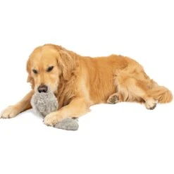 Hyper Pet Doggie Tail Interactive Dog Toy 13 Hyper Pet Doggie Tail Interactive Dog Toy -PetSafe Kong Shop 80151 Pt5. AC SS1800 V1583768575