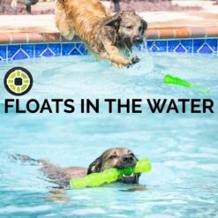 Hyper Pet Dura-Squeaks Dog Chew Toy 11 Hyper Pet Dura-Squeaks Dog Chew Toy -PetSafe Kong Shop 80165 PT2. AC SS1800 V1637610698