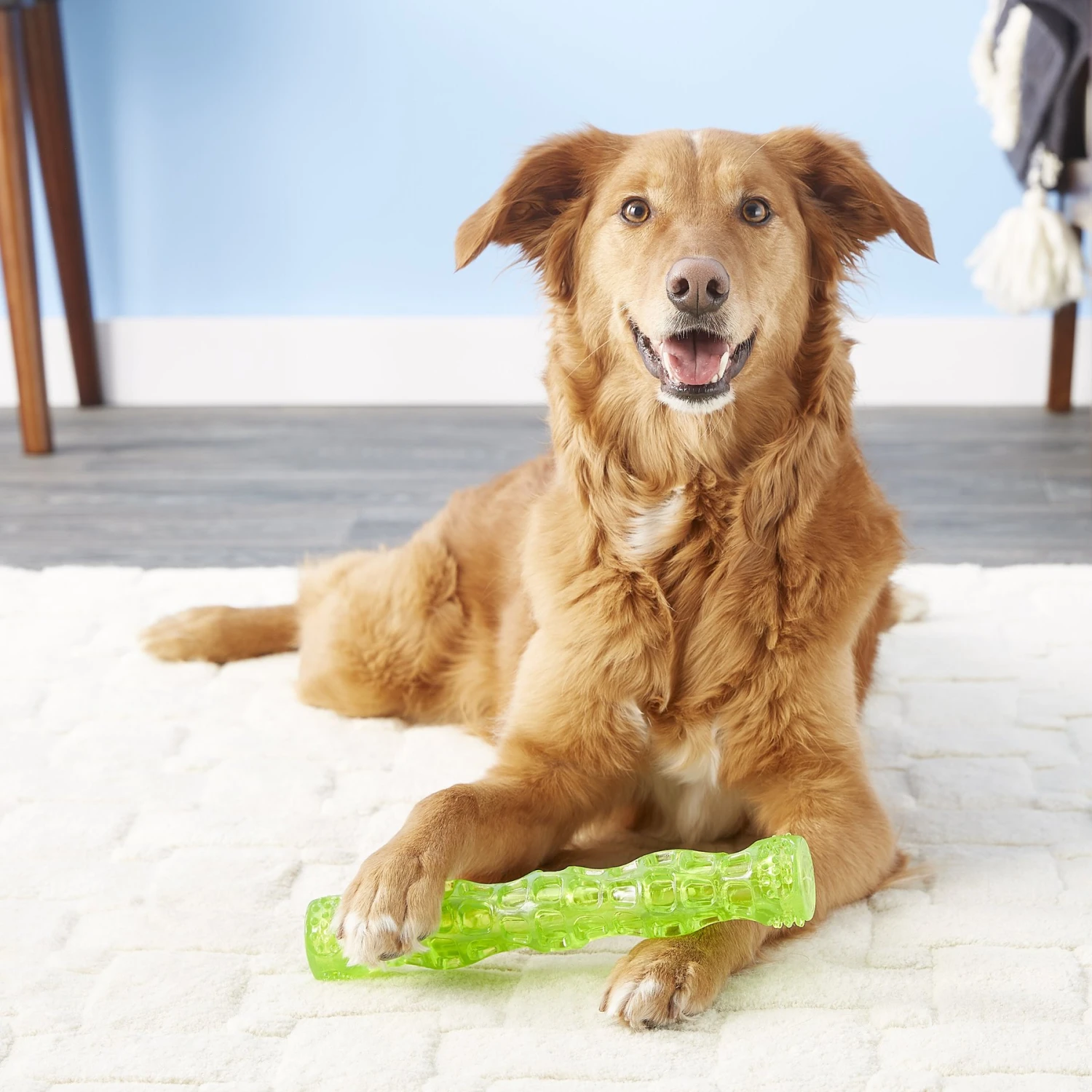 Hyper Pet Dura-Squeaks Dog Chew Toy 5 Hyper Pet Dura-Squeaks Dog Chew Toy - Image 5