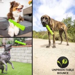 Hyper Pet Dura-Squeaks Dog Chew Toy 17 Hyper Pet Dura-Squeaks Dog Chew Toy -PetSafe Kong Shop 80165 PT8. AC SS1800 V1637611306