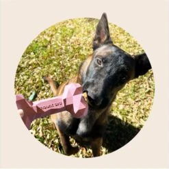 Mount Ara Superbite Dog Toy, 2 Count -PetSafe Kong Shop 802526 PT2. AC SS1800 V1678802958