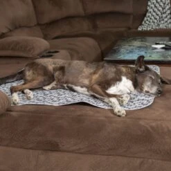 Caldwell's Multi-Purpose Quilted Washable & Reusable Dog Pee Pads -PetSafe Kong Shop 802654 PT2. AC SS1800 V1683035360