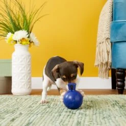 Jolly Pets Tug-n-Toss Mini Dog Toy, Blue -PetSafe Kong Shop 80412 PT2. AC SS1800 V1530912866