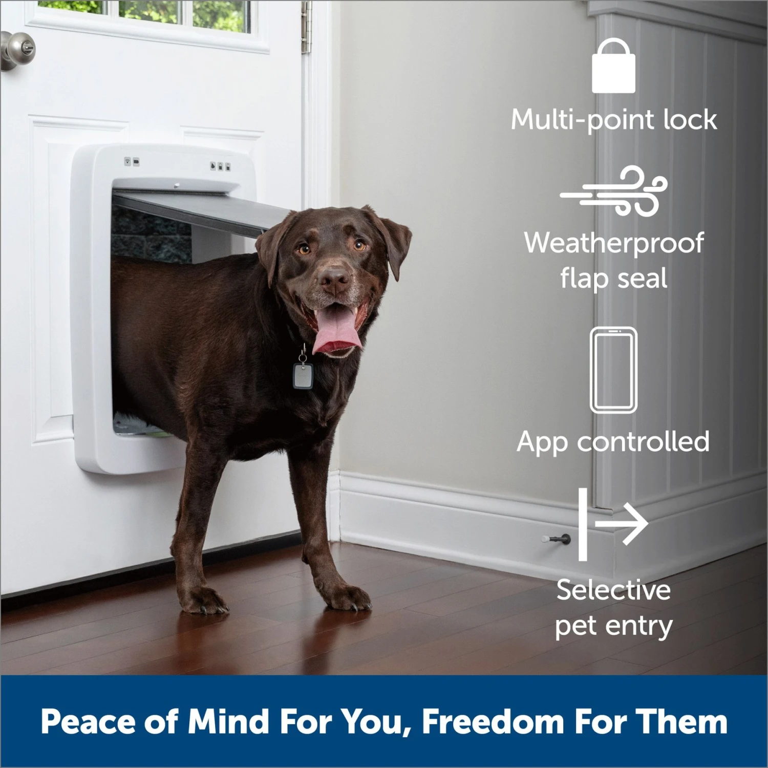 PetSafe Connected Smart Dog Door, White 2 PetSafe Connected Smart Dog Door, White - Image 2