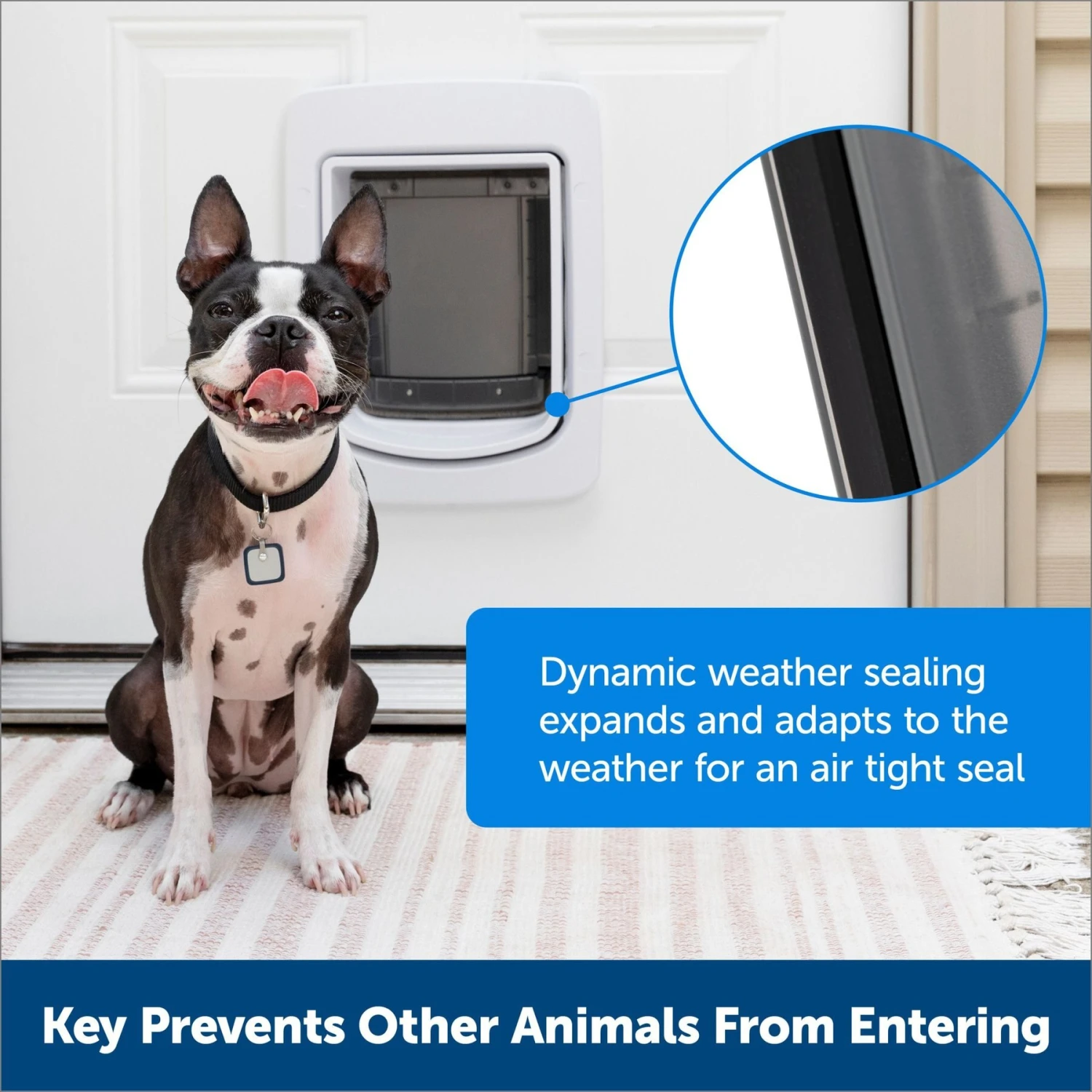 PetSafe Connected Smart Dog Door, White 4 PetSafe Connected Smart Dog Door, White - Image 4