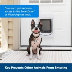 PetSafe RFID Smart Key For Dog Door, Gray -PetSafe Kong Shop 804710 PT1. AC SS1800 V1686077608