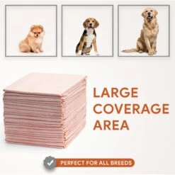 Chew + Heal Max Protect Ultra Absorbent Dog Potty Pads, 30 X 36-in -PetSafe Kong Shop 804806 PT4. AC SS1800 V1679000985