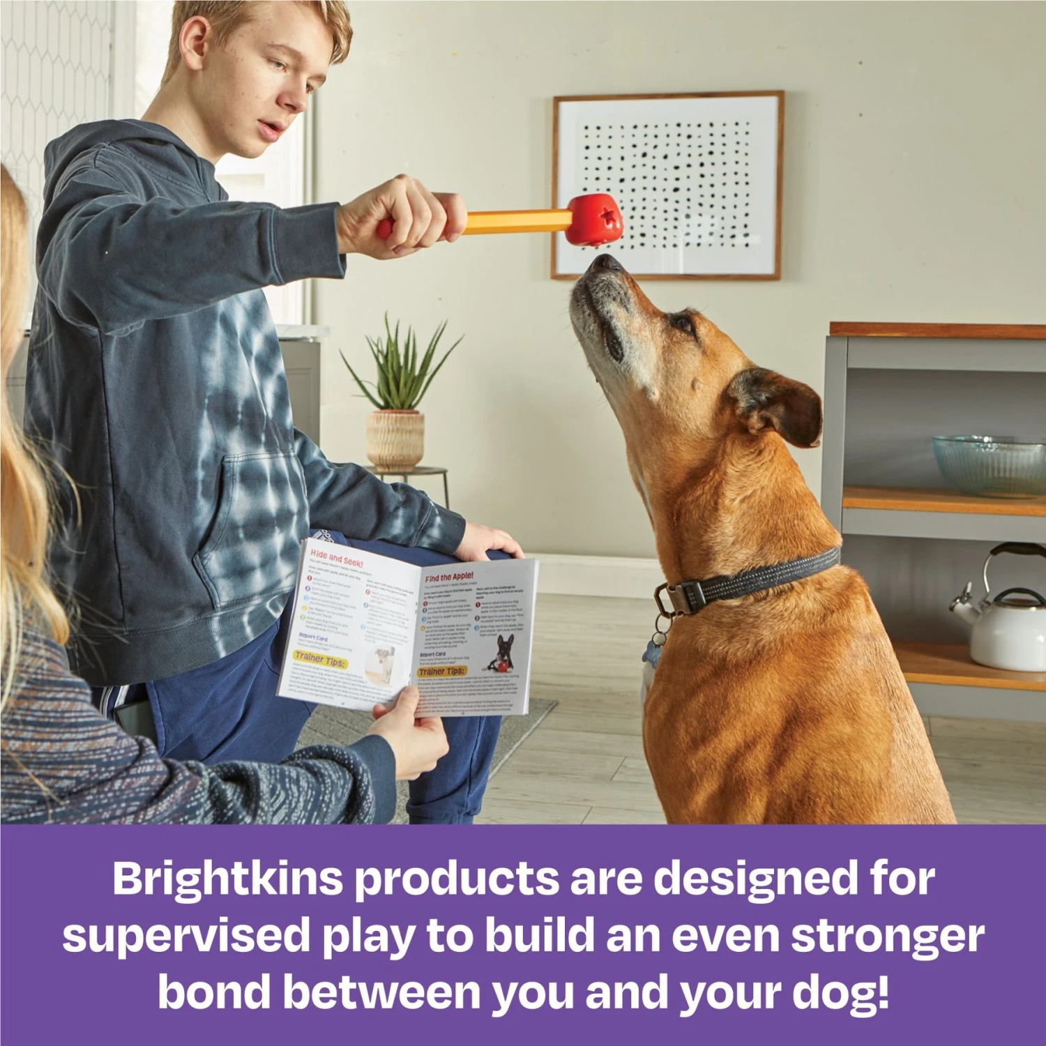 Brightkins Pooch School! Training Set Dog Toys 5 Brightkins Pooch School! Training Set Dog Toys - Image 5