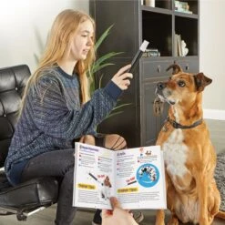 Brightkins Magic Trick! Training Set Dog Toys -PetSafe Kong Shop 805358 PT3. AC SS1800 V1682450432