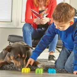 Brightkins Magic Trick! Training Set Dog Toys -PetSafe Kong Shop 805358 PT4. AC SS1800 V1682450347