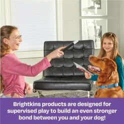Brightkins Magic Trick! Training Set Dog Toys -PetSafe Kong Shop 805358 PT5. AC SS1800 V1682450497