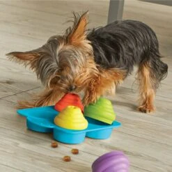 Brightkins Cupcake Party! Puzzle Treat Dog Toy -PetSafe Kong Shop 805374 PT4. AC SS1800 V1682450451