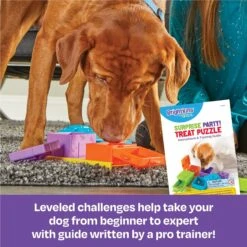 Brightkins Surprise Party! Puzzle Treat Dog Toy -PetSafe Kong Shop 805390 PT2. AC SS1800 V1679069715