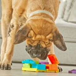 Brightkins Surprise Party! Puzzle Treat Dog Toy -PetSafe Kong Shop 805390 PT3. AC SS1800 V1682450532