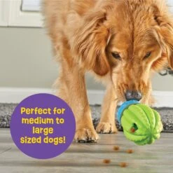 Brightkins Cactus Surprise! Treat Dispensing Dog Toy -PetSafe Kong Shop 805422 PT4. AC SS1800 V1682450356