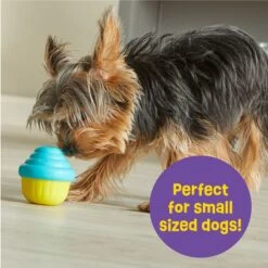Brightkins Small Cupcake Treat Dispenser Dog Toy -PetSafe Kong Shop 805438 PT3. AC SS1800 V1682450416