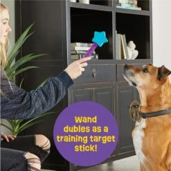 Brightkins Magic Wand! Star Treat Dispensing Dog Tpy -PetSafe Kong Shop 805454 PT2. AC SS1800 V1678999699