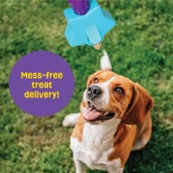 Brightkins Magic Wand! Star Treat Dispensing Dog Tpy -PetSafe Kong Shop 805454 PT3. AC SS1800 V1682450362