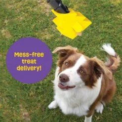 Brightkins Magic Wand! Bolt Treat Dispensing Dog Toy -PetSafe Kong Shop 805470 PT3. AC SS1800 V1682450563