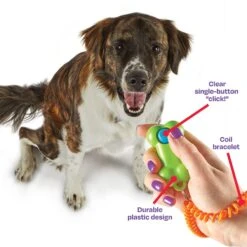 Brightkins Smarty Pooch Bone Dog Training Clicker -PetSafe Kong Shop 805486 PT3. AC SS1800 V1682450551