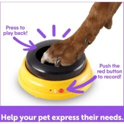 Hunger For Words Talking Pet Next Words: Names Dog Toy -PetSafe Kong Shop 805566 PT4. AC SS1800 V1682450408