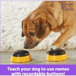 Hunger For Words Talking Pet Next Words: Names Dog Toy -PetSafe Kong Shop 805566 PT5. AC SS1800 V1682450554