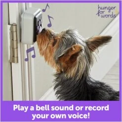 Hunger For Words Talking Pet Doorbell Dog Toy -PetSafe Kong Shop 805598 PT1. AC SS1800 V1679069159