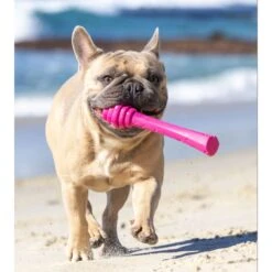 Project Hive Pet Company Hive Wild Berry Scented Fetch Stick Dog Toy, Pink -PetSafe Kong Shop 805934 PT4. AC SS1800 V1683560636