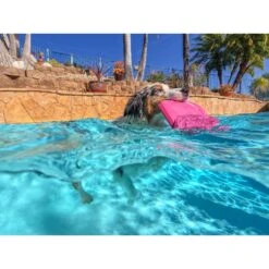 Project Hive Pet Company Hive Wild Berry Scented Disc & Lick Mat Dog Toy, Pink -PetSafe Kong Shop 805950 PT6. AC SS1800 V1683566323