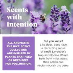 Project Hive Pet Company Hive Calming Lavender Scented Fetch Stick Dog Toy, Purple -PetSafe Kong Shop 805982 PT2. AC SS1800 V1683567238