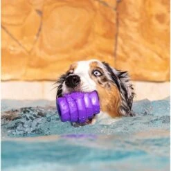 Project Hive Pet Company Hive Calming Lavender Scented Chew Dog Toy, Purple, Large, Purple -PetSafe Kong Shop 806014 PT4. AC SS1800 V1683565922