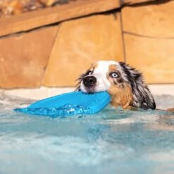 Project Hive Pet Company Hive Soothing Vanilla Scented Disc & Lick Mat Dog Toy, Blue 10 Project Hive Pet Company Hive Soothing Vanilla Scented Disc & Lick Mat Dog Toy, Blue -PetSafe Kong Shop 806046 PT5. AC SS1800 V1683560609