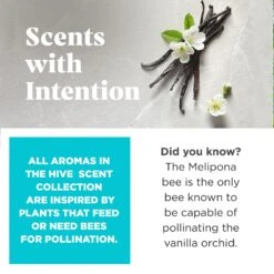 Project Hive Pet Company Hive Soothing Vanilla Scented Chew Dog Toy, Blue, Large -PetSafe Kong Shop 806062 PT2. AC SS1800 V1683566322