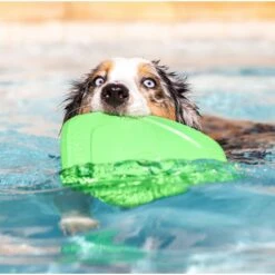 Project Hive Pet Company Hive Tropical Coconut Scented Disc & Lick Mat Dog Toy, Green -PetSafe Kong Shop 806142 PT4. AC SS1800 V1683565308