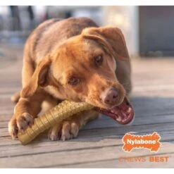 Nylabone Power Chew Peanut Butter Flavored Dog Chew Toy 15 Nylabone Power Chew Peanut Butter Flavored Dog Chew Toy -PetSafe Kong Shop 80694 PT6. AC SS1800 V1674658537