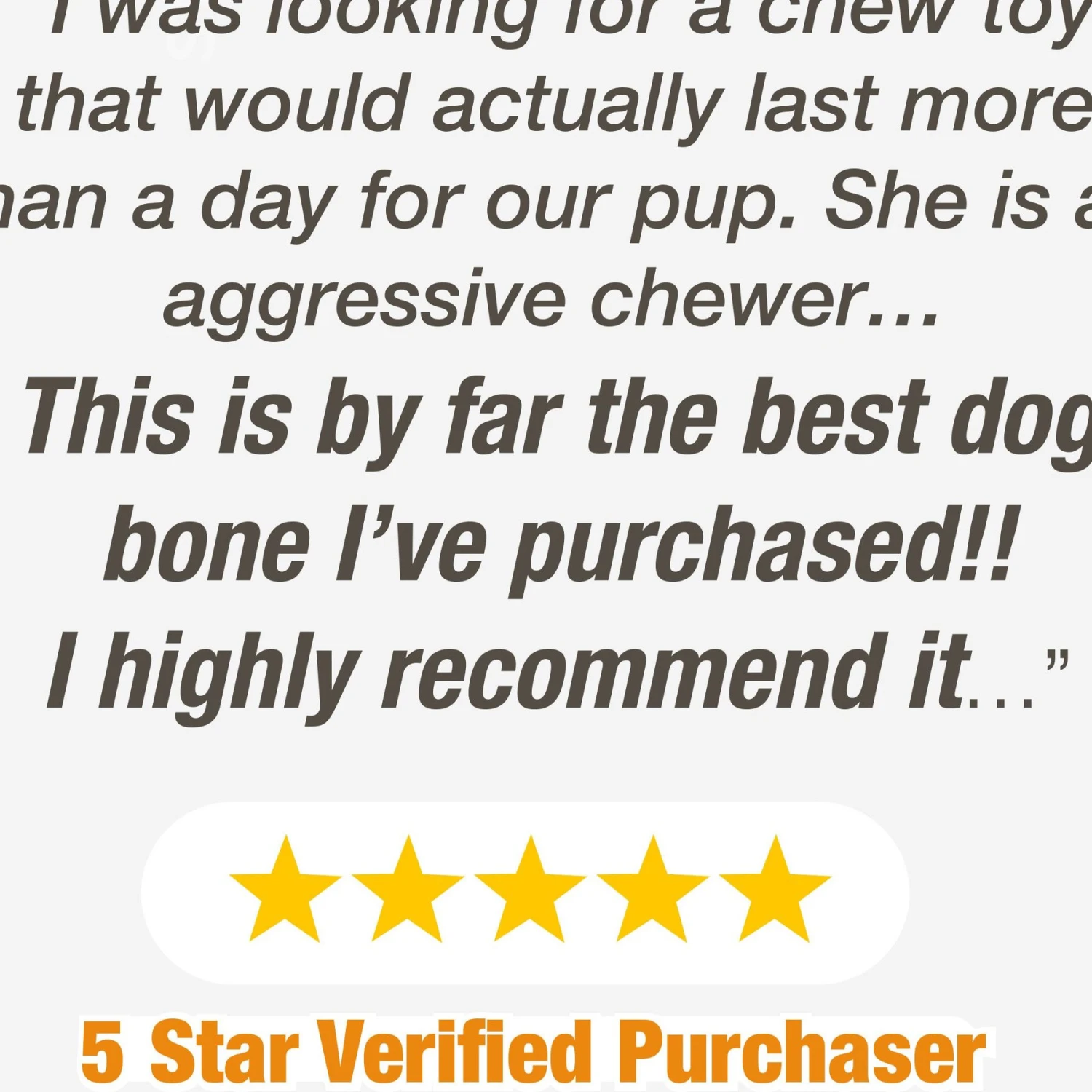 Nylabone Power Chew Peanut Butter Flavored Dog Chew Toy 8 Nylabone Power Chew Peanut Butter Flavored Dog Chew Toy - Image 8