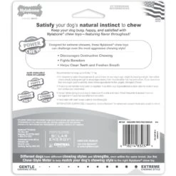 Nylabone Power Chew Variety Triple Pack Chicken, Bacon & Peanut Butter -PetSafe Kong Shop 80696 PT6. AC SS1800 V1689706200