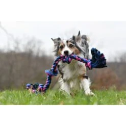 Mammoth Cottonblend 5 Knot Dog Rope Toy, Color Varies -PetSafe Kong Shop 80745 PT4. AC SS1800 V1633020443