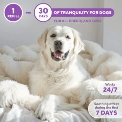 Relaxivet Calming Pheromone Refill Dog Diffuser, 3-oz Bottle, 2 Count -PetSafe Kong Shop 807494 PT4. AC SS1800 V1680192477