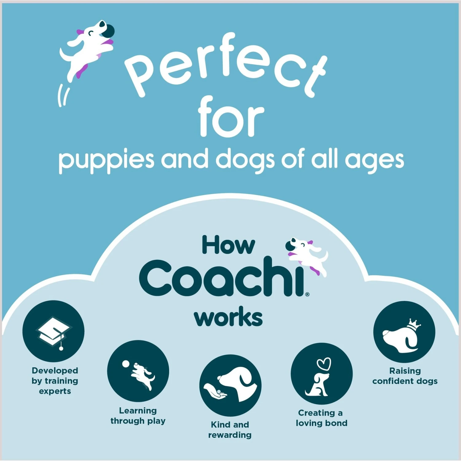 Coachi Tuggi Helix Dog Dummy, Navy 8 Coachi Tuggi Helix Dog Dummy, Navy - Image 8