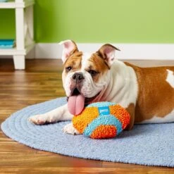 Chuckit! Indoor Fumbler Dog Toy 8 Chuckit! Indoor Fumbler Dog Toy -PetSafe Kong Shop 80976 PT3. AC SS1800 V1602763272
