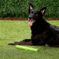 JW Pet Bamboo Stick Dog Toy, Color Varies -PetSafe Kong Shop 80997 PT3. AC SS1800 V1531517527