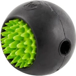JW Pet Grass Ball Dog Toy, Color Varies -PetSafe Kong Shop 81019 PT3. AC SS1800 V1531517815