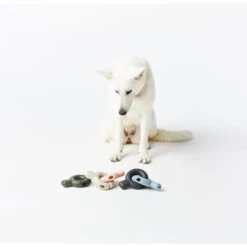 Fable Pets Falcon Dog Toy -PetSafe Kong Shop 812926 PT2. AC SS1800 V1685489529