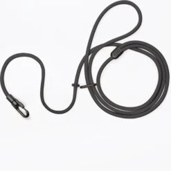 Fable Pets Magic Hands-Free Dog Leash